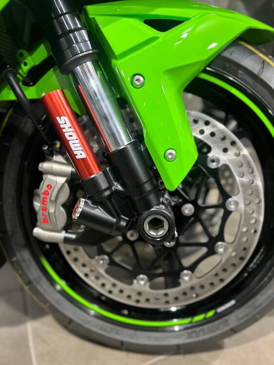 Kawasaki Ninja 1000 ZX-10R (2021 - 25) (3)