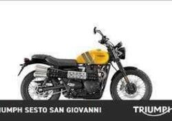 Triumph Scrambler 900 (2023 - 25) usata