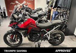 Triumph Tiger 900 GT Pro (2024 - 25) usata