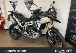 Triumph Tiger 900 Rally Pro (2024 - 25) usata