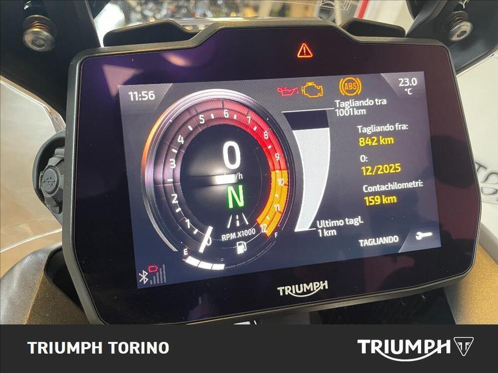 Triumph Tiger 900 Rally Pro (2024 - 25) (5)