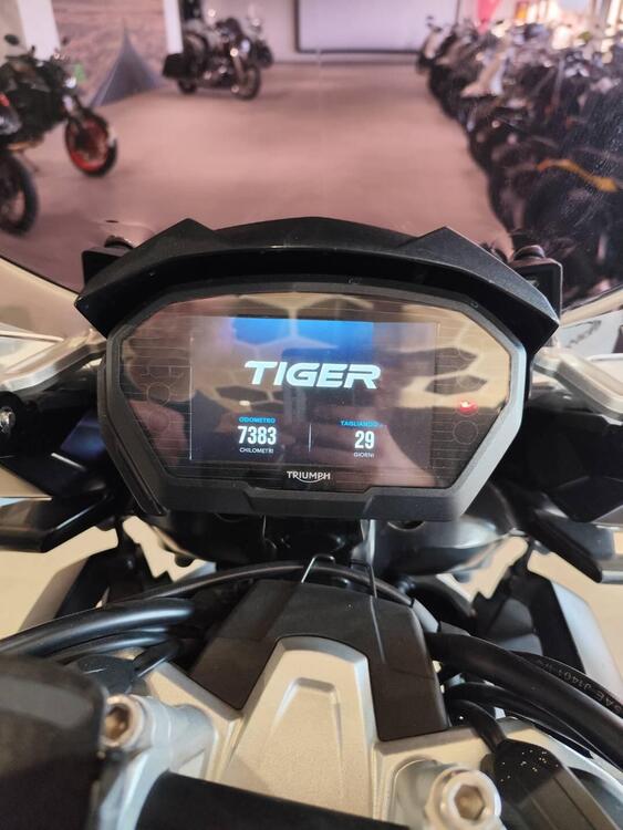 Triumph Tiger 1200 Alpine Edition (2020) (4)