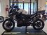 Triumph Tiger 1200 Alpine Edition (2020) (9)