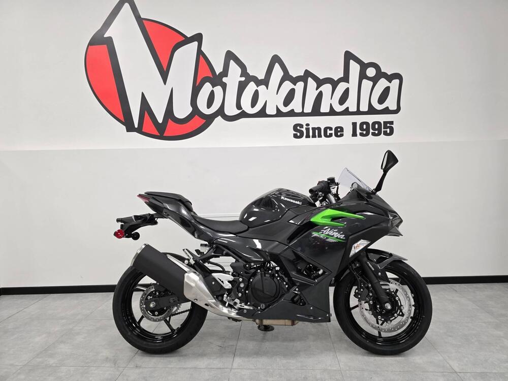 Kawasaki Ninja 500 (2024 - 25)