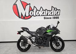 Kawasaki Ninja 500 (2024 - 25) nuova