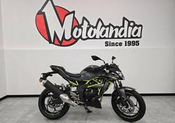 Kawasaki Z 125 (2021 - 25) nuova