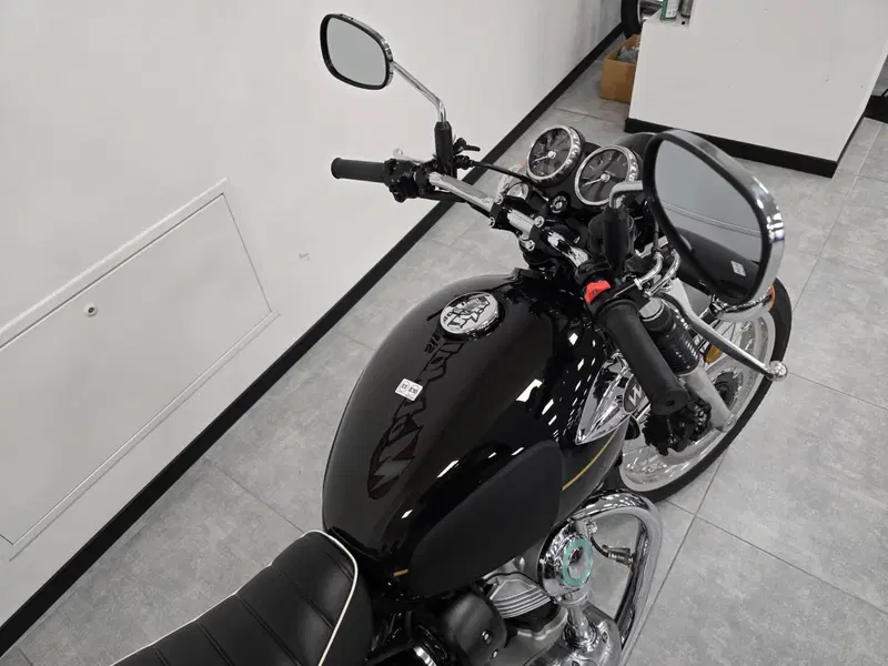 Kawasaki W 800 (2021 - 26) (3)