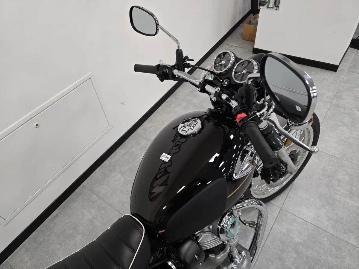 Kawasaki W 800 (2021 - 26) (3)
