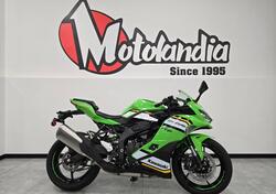 Kawasaki Ninja ZX-4RR (2024 - 25) nuova