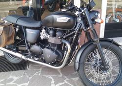 Triumph Bonneville T100 (2008 - 16) usata