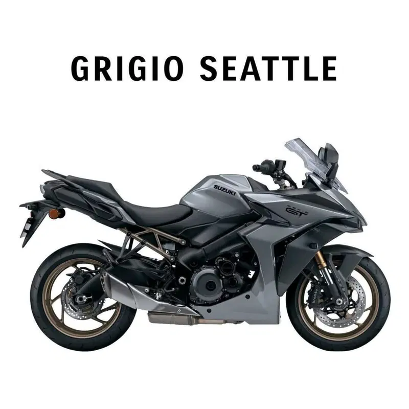 Suzuki GSX-S1000GT (2025 - 26) (10)