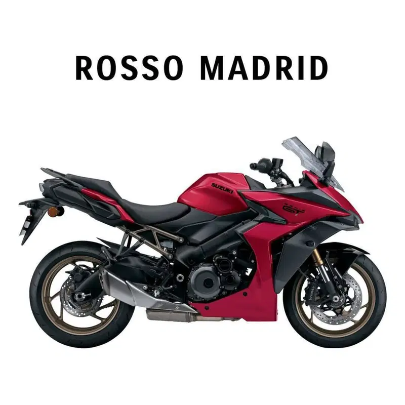 Suzuki GSX-S1000GT (2025 - 26) (11)