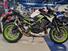 Kawasaki Z 900 Performance A2 (2020) (10)