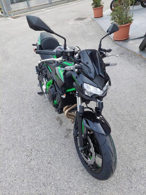 Kawasaki Z 650 (2025) (3)