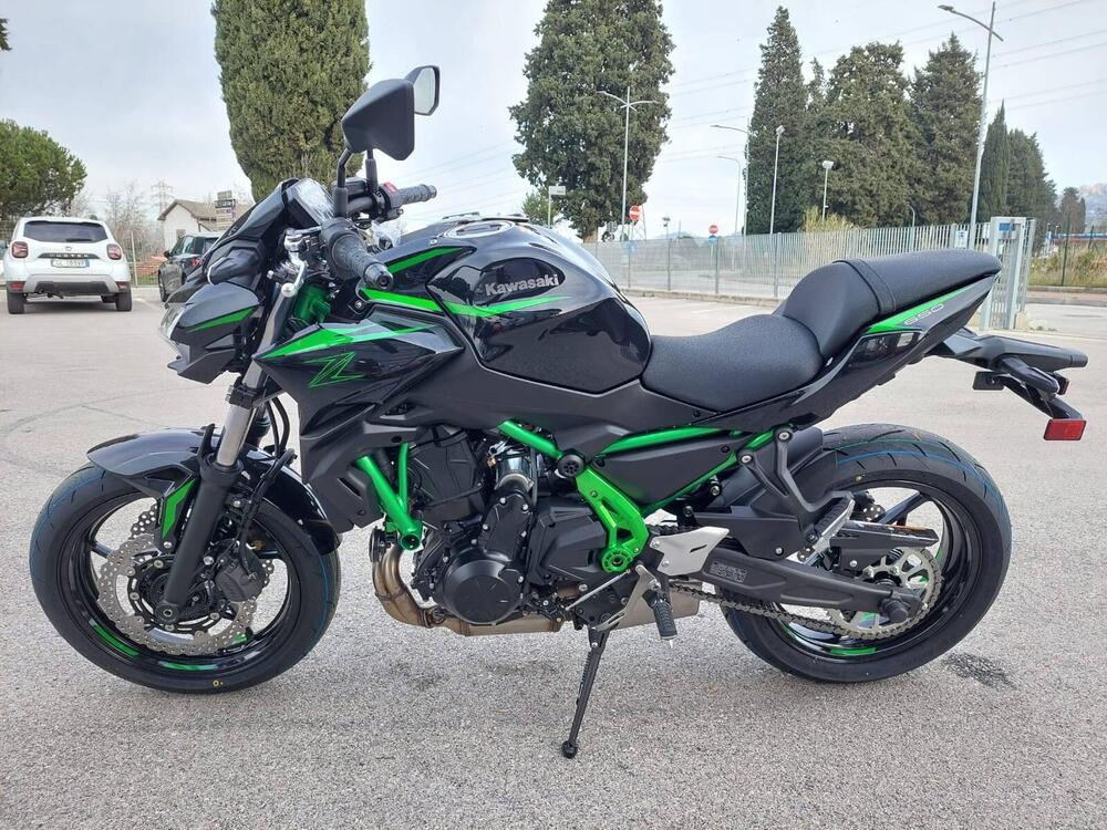 Kawasaki Z 650 (2025) (5)