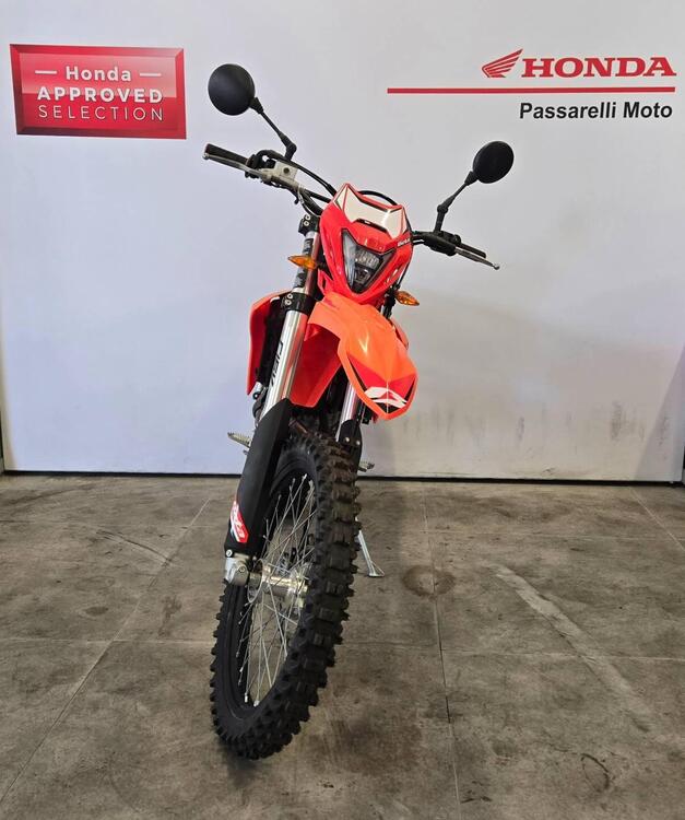 Betamotor RR 125 4T Enduro LC (2021 - 23) (2)