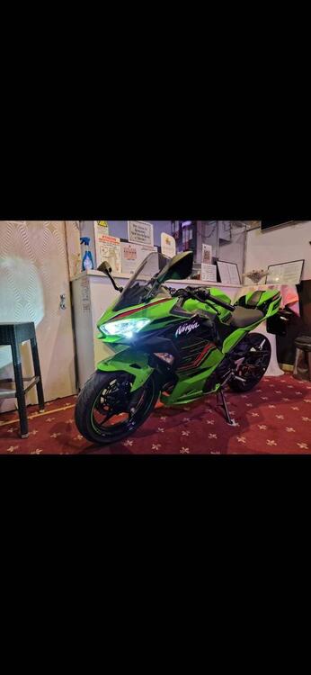 Kawasaki Ninja 400 Performance (2023) (3)