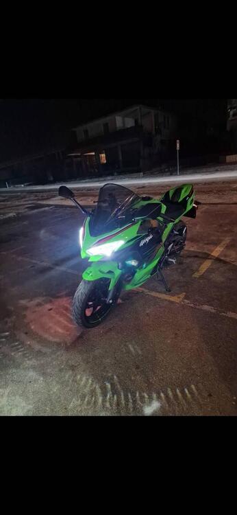 Kawasaki Ninja 400 Performance (2023) (4)