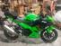 Kawasaki Ninja 400 Performance (2023) (8)