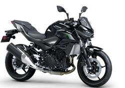 Kawasaki Z 500 (2024 - 25) nuova