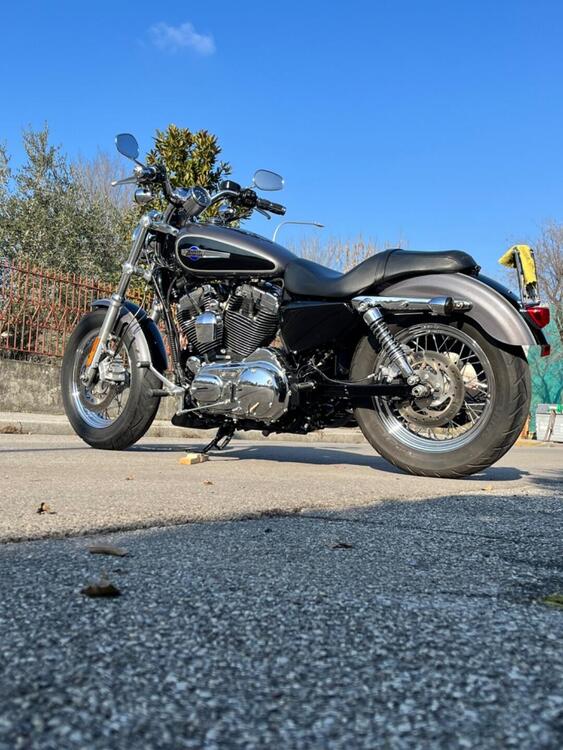 Harley-Davidson 1200 Custom ABS (2014 - 16) - XL 1200C (2)