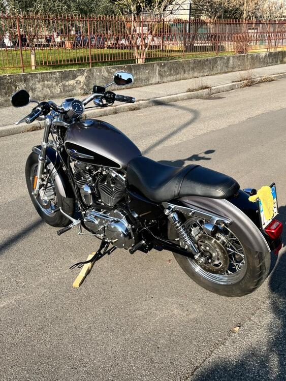 Harley-Davidson 1200 Custom ABS (2014 - 16) - XL 1200C (3)