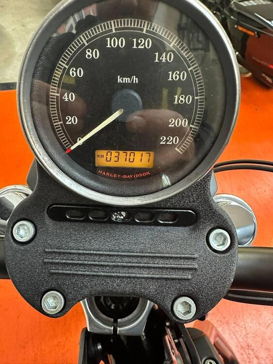 Harley-Davidson 883 R (2006 - 07) - XL 883R (4)