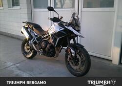 Triumph Tiger 900 GT (2024 - 25) usata