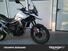 Triumph Tiger 900 GT (2024 - 25) (6)