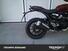 Triumph Scrambler 400 X (2024 - 25) (6)