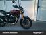 Triumph Scrambler 400 X (2024 - 25) (8)