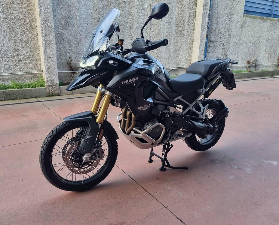 Triumph Tiger 1200 Rally Pro (2022 - 23) (5)