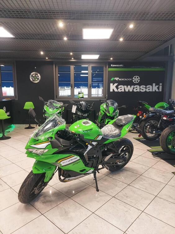 Kawasaki Ninja ZX-4RR (2024 - 25)