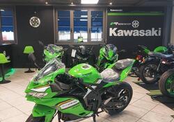 Kawasaki Ninja ZX-4RR (2024 - 25) nuova