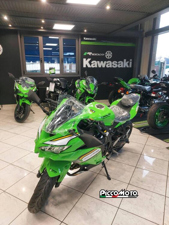 Kawasaki Ninja ZX-4RR (2024 - 25) (2)