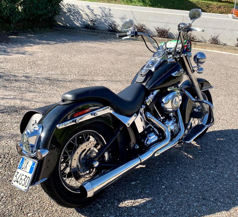 Harley-Davidson 1584 Deluxe (2007 - 08) - FLSTN (3)