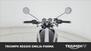 Triumph Bonneville T120 Icon Edition (2025) (15)