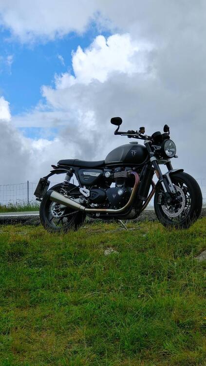 Triumph Speed Twin 1200 (2021 - 24)