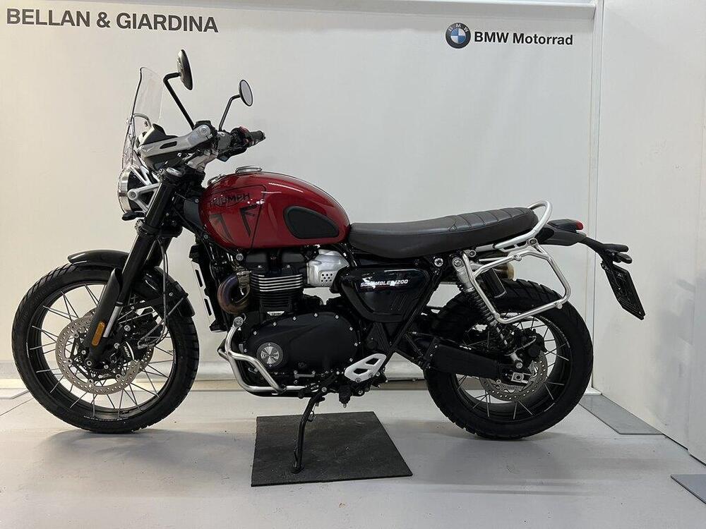 Triumph Scrambler 1200 X (2024 - 25)