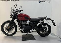 Triumph Scrambler 1200 X (2024 - 25) usata