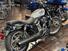 Harley-Davidson Nightster Special (2023 - 25) (9)