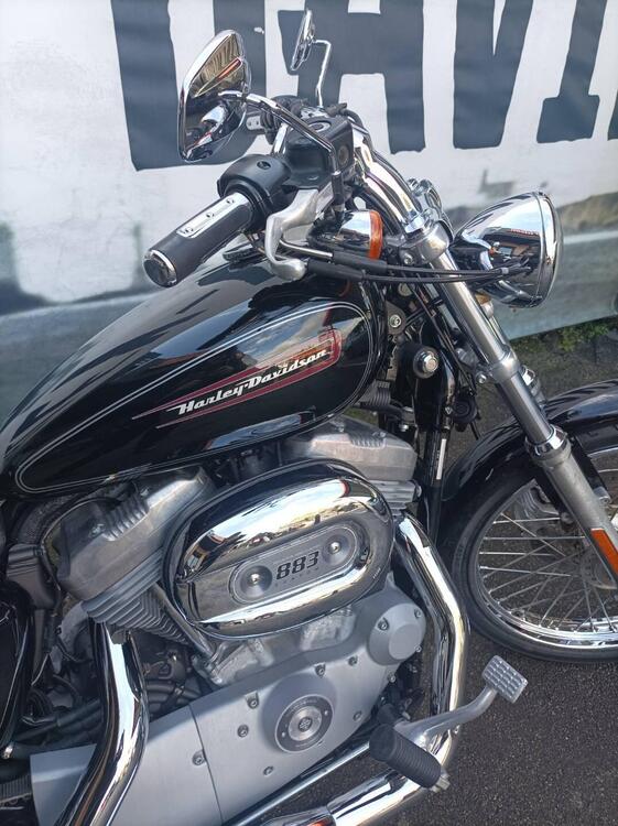 Harley-Davidson 883 Custom (2008 - 12) - XL 883C (3)