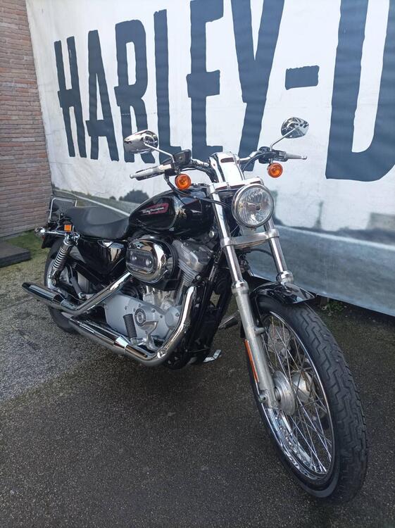 Harley-Davidson 883 Custom (2008 - 12) - XL 883C (2)