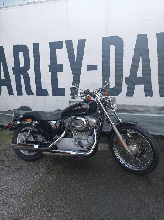 Harley-Davidson 883 Custom (2008 - 12) - XL 883C