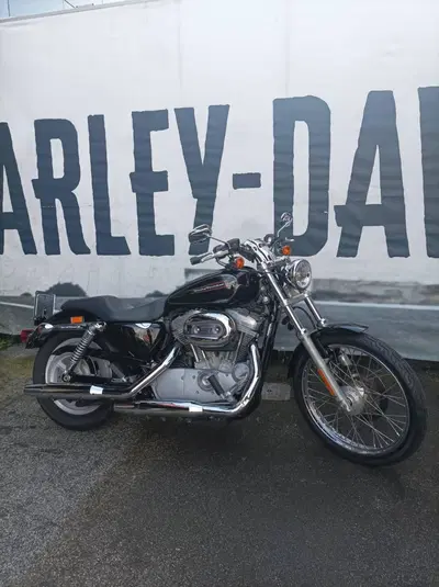 Harley-Davidson 883 Custom (2008 - 12) - XL 883C usata
