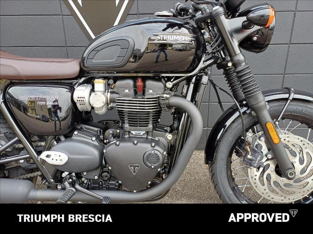 Triumph Bonneville T120 (2021 - 25) (5)