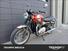 Triumph Bonneville T120 Elvis (2024 - 25) (13)