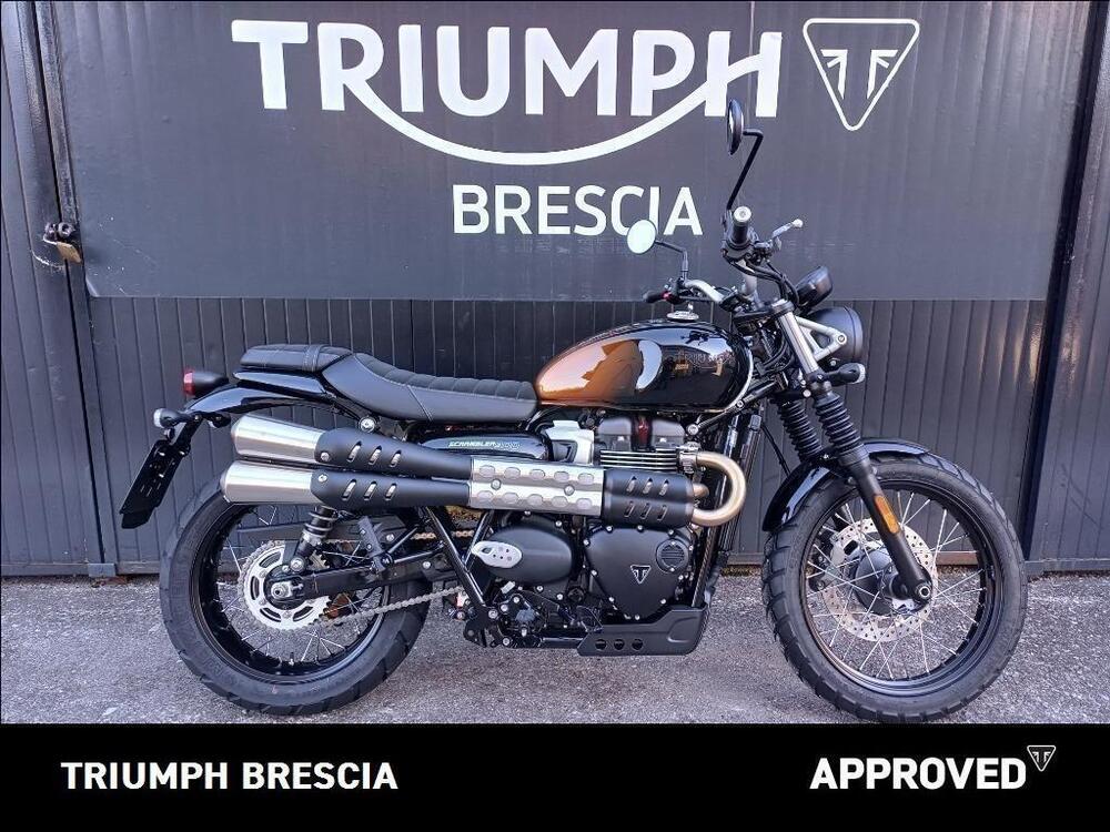 Triumph Scrambler 900 (2023 - 25)