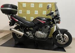 Suzuki GS 500 F (2004 - 06) usata