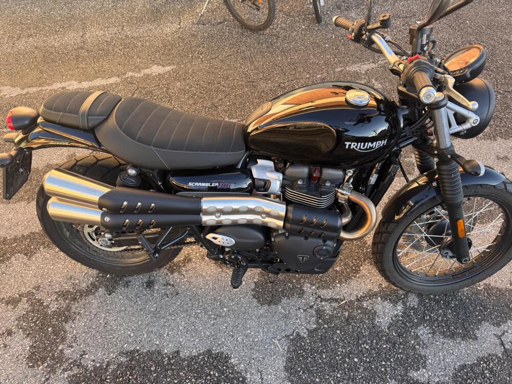 Triumph Scrambler 900 (2023 - 25) (5)